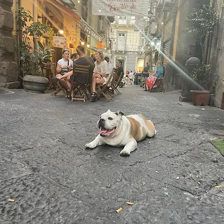 La Casa Di Sarah Aspetta Voi *